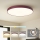 Brilagi - LED stropno svjetlo POOL LED/100W/230V 3000/4000/6000K Ø 80 cm bordo