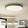 Brilagi - LED stropno svjetlo POOL LED/100W/230V 3000/4000/6000K Ø 80 cm zeleno