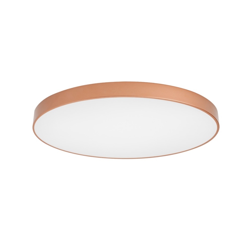 BRILAGI - LED stropna svjetiljka POOL LED/128W/230V 3000/4000/6000K pr. 100 cm bakrena
