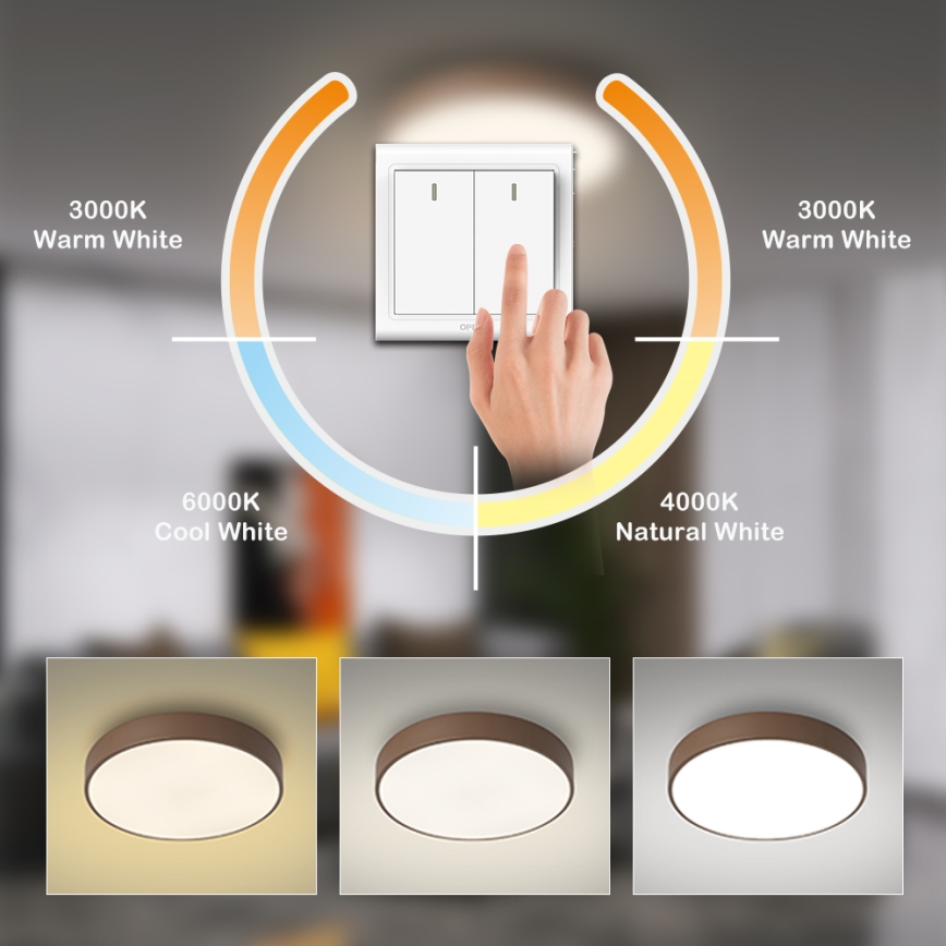Brilagi - LED stropno svjetlo POOL LED/36W/230V 3000/4000/6000K Ø 30 cm smeđa