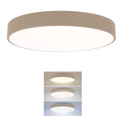 Brilagi - LED stropno svjetlo POOL LED/36W/230V 3000/4000/6000K pr. 30 cm bež