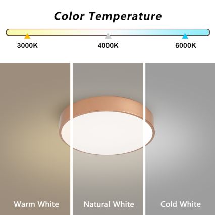Brilagi - stropna svjetiljka POOL LED/36W/230V 3000/4000/6000K Ø 30 cm brončana