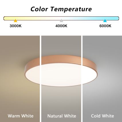 Brilagi - LED stropna svjetiljka POOL LED/60W/230V 3000/4000/6000K Ø 60 cm brončana