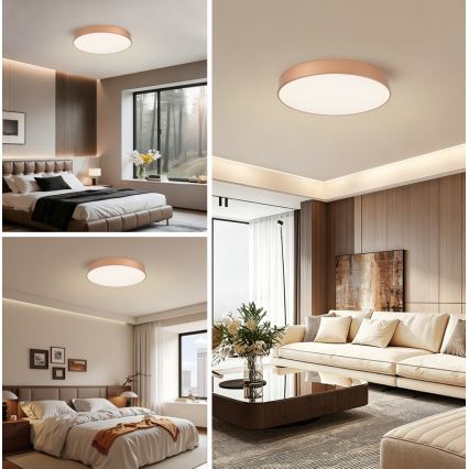 Brilagi - LED stropna svjetiljka s prigušivanjem POOL LED/60W/230V 3000-6000K Ø 50 cm brončana + daljinski upravljač