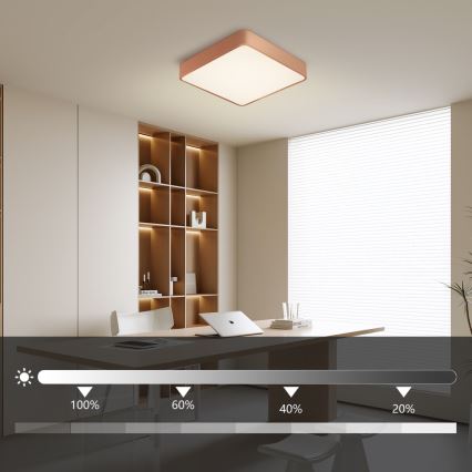 Brilagi - stropna LED svjetiljka s mogućnošću prigušivanja POOL SQUARE LED/36W/230V 3000-6000K 40x40 cm brončana + daljinski upravljač