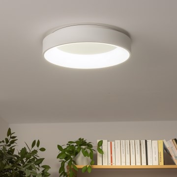 Brilagi - LED stropno svjetlo s mogućnošću prigušivanja FALCON LED/40W/230V 3000-6500K promjer 45 cm bijelo + daljinski upravljač