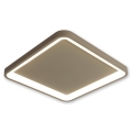 BRILAGI - LED stropno svjetlo s mogućnošću prigušivanja FALCON SLIM LED/50W/230V 3000-6500K 50x50 cm bež + daljinski upravljač