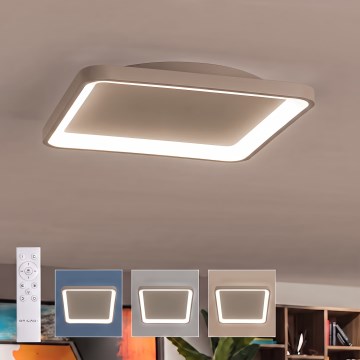 BRILAGI - LED stropno svjetlo s mogućnošću prigušivanja FALCON SLIM LED/50W/230V 3000-6500K 50x50 cm bež + daljinski upravljač