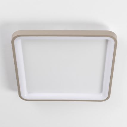 BRILAGI - LED Prigušivo stropno svjetlo FALCON SLIM LED/50W/230V 3000-6500K 50x50 cm bijela/bež + daljinski upravljač