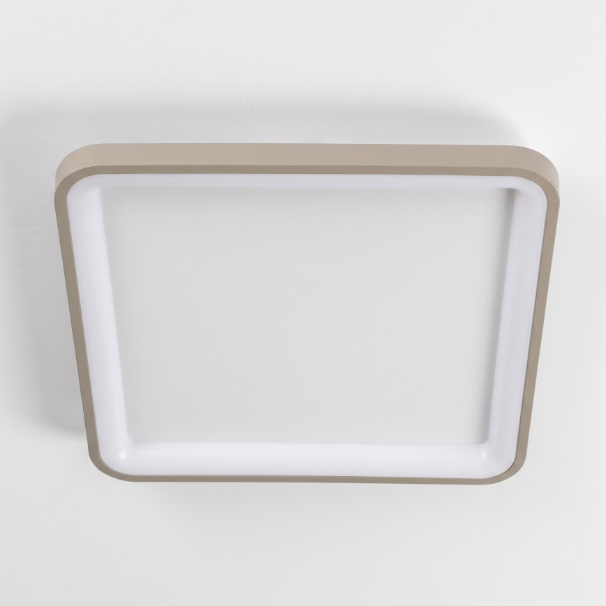 BRILAGI - LED Prigušivo stropno svjetlo FALCON SLIM LED/50W/230V 3000-6500K 50x50 cm bijela/bež + daljinski upravljač