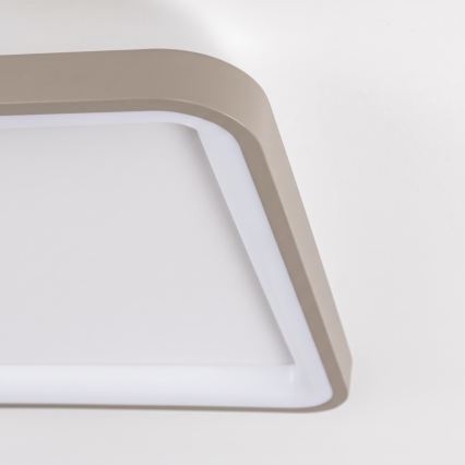 BRILAGI - LED Prigušivo stropno svjetlo FALCON SLIM LED/50W/230V 3000-6500K 50x50 cm bijela/bež + daljinski upravljač