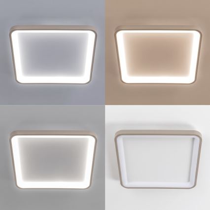 BRILAGI - LED Prigušivo stropno svjetlo FALCON SLIM LED/50W/230V 3000-6500K 50x50 cm bijela/bež + daljinski upravljač