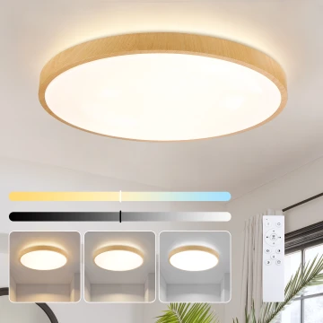 Brilagi - LED stropno svjetlo s mogućnošću prigušivanja GLASS POOL DOUBLE LED/80W/230V 3000-6000K 60 cm drveni dekor + daljinski upravljač