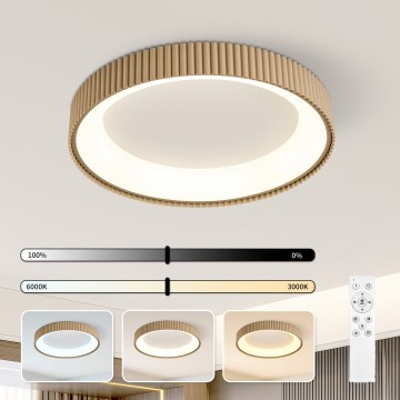 Brilagi - LED stropno svjetlo s prigušivanjem FALCON MODERN LED/54W/230V 3000-6500K 60 cm bež + daljinski upravljač