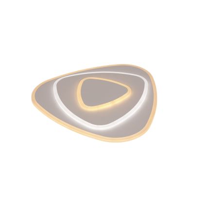 Brilagi - LED prigušivo stropno svjetlo MODERN LED/58W/230V 3000-6000K 47x48,5 cm+ s daljinskim upravljačem