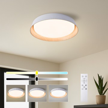 Brilagi - LED stropno svjetlo s prigušivanjem ORINO LED/54W/230V 3000-6000K bijela, promjer 43 cm + daljinski upravljač