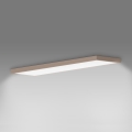 Brilagi - LED stropno svjetlo za kupaonicu FRAME LED/50W/230V 120x30 cm IP44 bež
