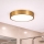 Brilagi - LED stropno svjetlo za kupaonicu POOL LED/24W/230V 3000/4000/5500K promjer 30 cm IP54 brončana