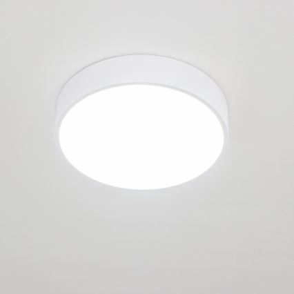 Brilagi - LED stropno svjetlo za kupaonicu POOL LED/24W/230V 3000/4000/5500K Ø 30 cm IP54 bijela