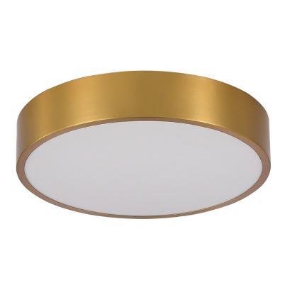 Brilagi - LED stropno svjetlo za kupaonicu POOL LED/24W/230V 3000/4000/5500K promjer 30 cm IP54 brončana