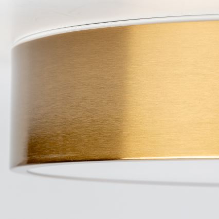 Brilagi - LED stropno svjetlo za kupaonicu POOL LED/24W/230V 3000/4000/5500K promjer 30 cm IP54 brončana