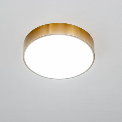 Brilagi - LED stropno svjetlo za kupaonicu POOL LED/24W/230V 3000/4000/5500K promjer 30 cm IP54 brončana