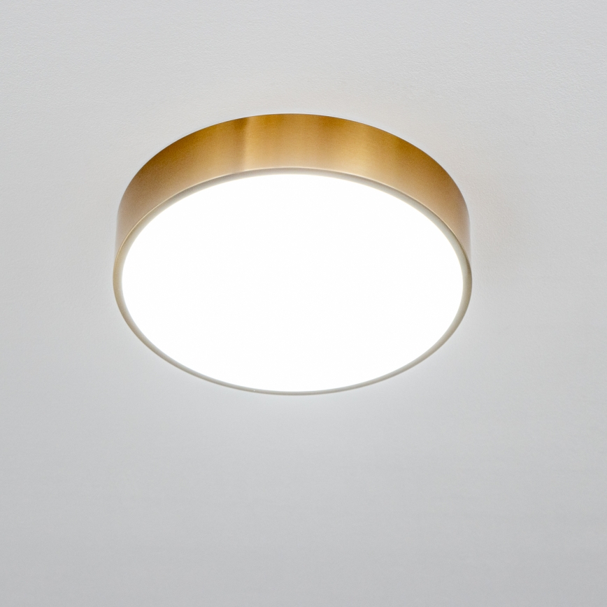 Brilagi - LED stropno svjetlo za kupaonicu POOL LED/24W/230V 3000/4000/5500K promjer 30 cm IP54 brončana