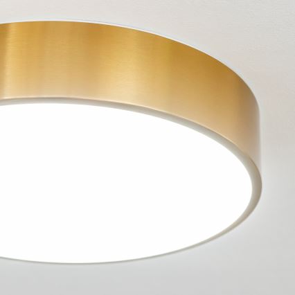 Brilagi - LED stropno svjetlo za kupaonicu POOL LED/24W/230V 3000/4000/5500K promjer 30 cm IP54 brončana