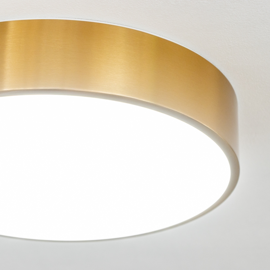 Brilagi - LED stropno svjetlo za kupaonicu POOL LED/24W/230V 3000/4000/5500K promjer 30 cm IP54 brončana