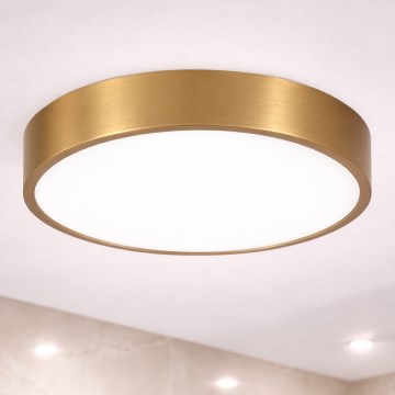 Brilagi - LED stropno svjetlo za kupaonicu POOL LED/36W/230V 3000/4000/5500K promjer 40 cm IP54 brončano