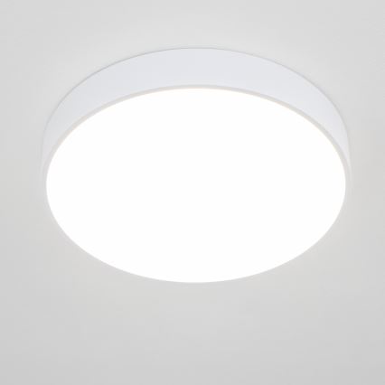Brilagi - LED kupaonsko stropno svjetlo POOL LED/36W/230V 3000/4000/5500K promjer 40 cm IP54 bijela