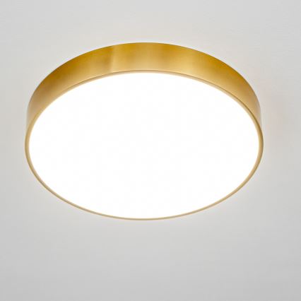 Brilagi - LED stropno svjetlo za kupaonicu POOL LED/36W/230V 3000/4000/5500K promjer 40 cm IP54 brončano
