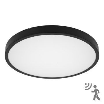 BRILAGI - LED Stropno svjetlo za kupaonicu sa senzorom ZENNA LED/36W/230V pr. 41,3 cm IP44 crna + daljinski upravljač