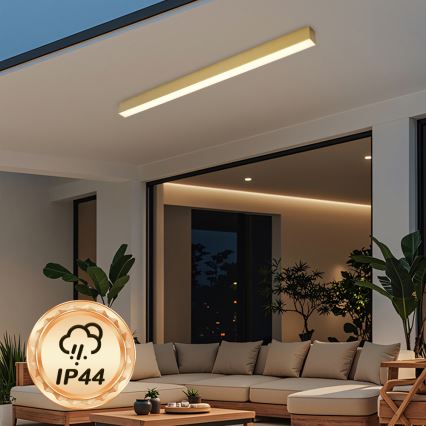 Brilagi - LED stropno svjetlo za kupaonicu SLEEKLINE LED/40W/230V 3000/4500/6000K zlatna IP44