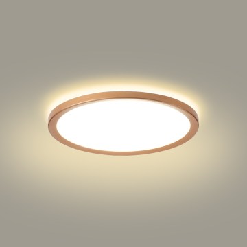 Brilagi - LED stropno svjetlo za kupaonicu ULTRA TANAK LED/18W/230V promjer 30 cm ružičasto zlato IP54