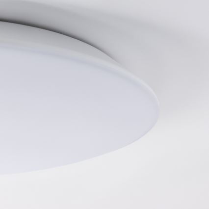 Brilagi - LED stropno svjetlo za kupaonicu VESTAS LED/18W/230V Ø 28 cm 4000K IP54