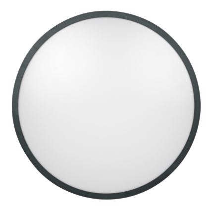 Brilagi - LED stropno svjetlo za kupaonicu ZENNA LED/24W/230V 34,5x34,5 cm IP44 antracit