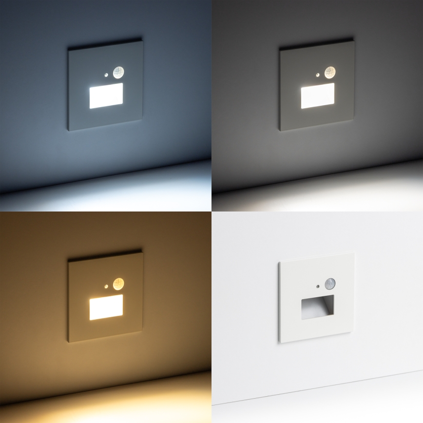 Brilagi - LED Stubišna svjetiljka sa senzorom pokreta JACK LED/1,5W/230V 3000K/4000K/6500K bijela