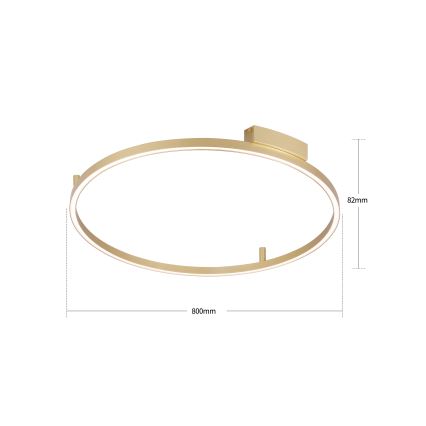 Brilagi - LED prigušivo stropno svjetlo PORTOFINO LED/60W/230V 3000-6000K Ø 80 cm zlatno + daljinski upravljač