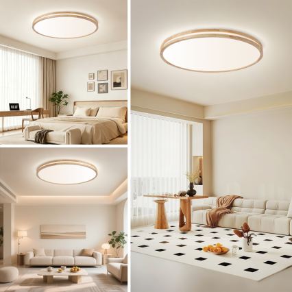 Brilagi - LED prigušivo stropno svjetlo MOLINA LED/128W/230V 3000-6000K hrast Ø 100 cm + daljinski upravljač