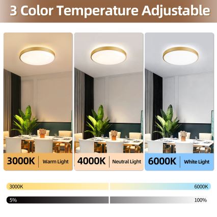 Brilagi - LED stropno svjetlo s mogućnošću prigušivanja GLASS POOL DOUBLE LED/60W/230V 3000-6000K 50 cm zlatno + daljinski upravljač