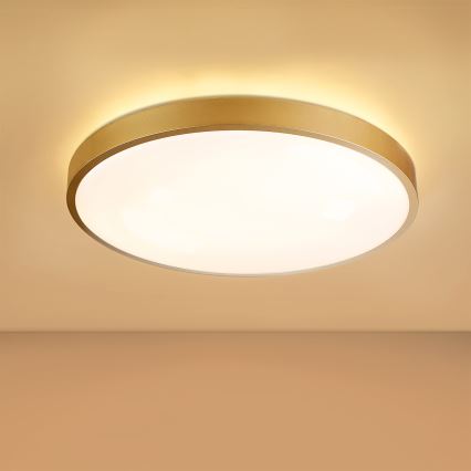 Brilagi - LED stropno svjetlo s mogućnošću prigušivanja GLASS POOL DOUBLE LED/60W/230V 3000-6000K 50 cm zlatno + daljinski upravljač