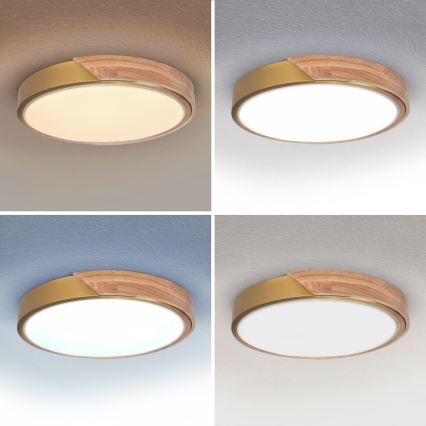 BRILAGI - LED stropna svjetiljka s prigušivanjem PILANA LED/48W/230V 3000-6500K hrast/zlatna Ø 40 cm + daljinski upravljač