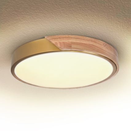 BRILAGI - LED stropna svjetiljka s prigušivanjem PILANA LED/48W/230V 3000-6500K hrast/zlatna Ø 40 cm + daljinski upravljač