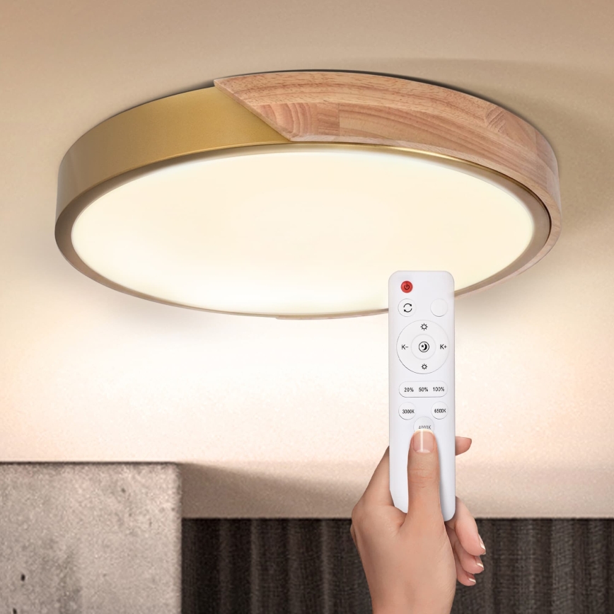 BRILAGI - LED stropna svjetiljka s prigušivanjem PILANA LED/48W/230V 3000-6500K hrast/zlatna Ø 40 cm + daljinski upravljač