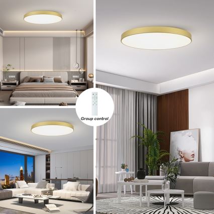 Brilagi - LED stropna svjetiljka s mogućnošću prigušivanja POOL SMART LED/180W/230V 3000-6000K 120 cm zlatna Wi-Fi Tuya + daljinsko upravljanje