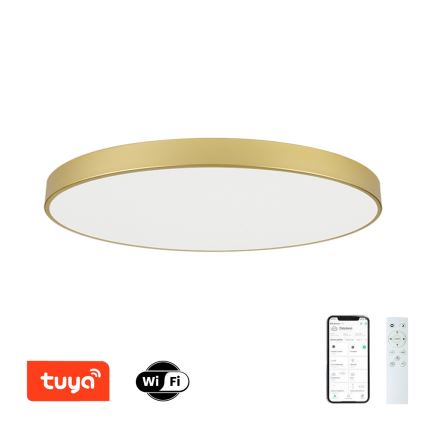 Brilagi - LED stropna svjetiljka s mogućnošću prigušivanja POOL SMART LED/180W/230V 3000-6000K 120 cm zlatna Wi-Fi Tuya + daljinsko upravljanje