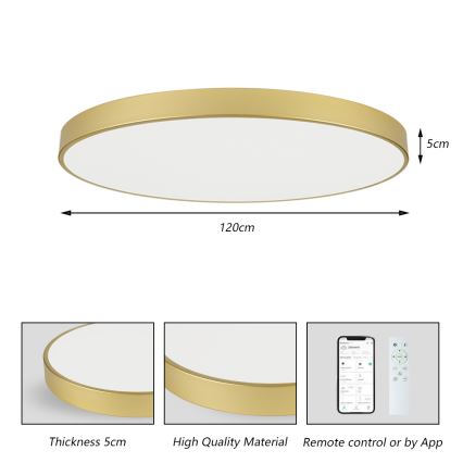 Brilagi - LED stropna svjetiljka s mogućnošću prigušivanja POOL SMART LED/180W/230V 3000-6000K 120 cm zlatna Wi-Fi Tuya + daljinsko upravljanje