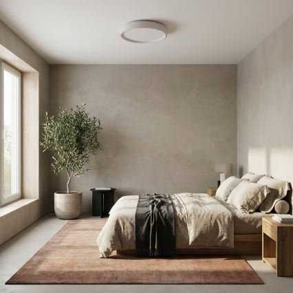 Brilagi - LED prigušivo stropno svjetlo NANCI LED/60W/230V 3000-6500K Ø 49 cm bijela + daljinski upravljač