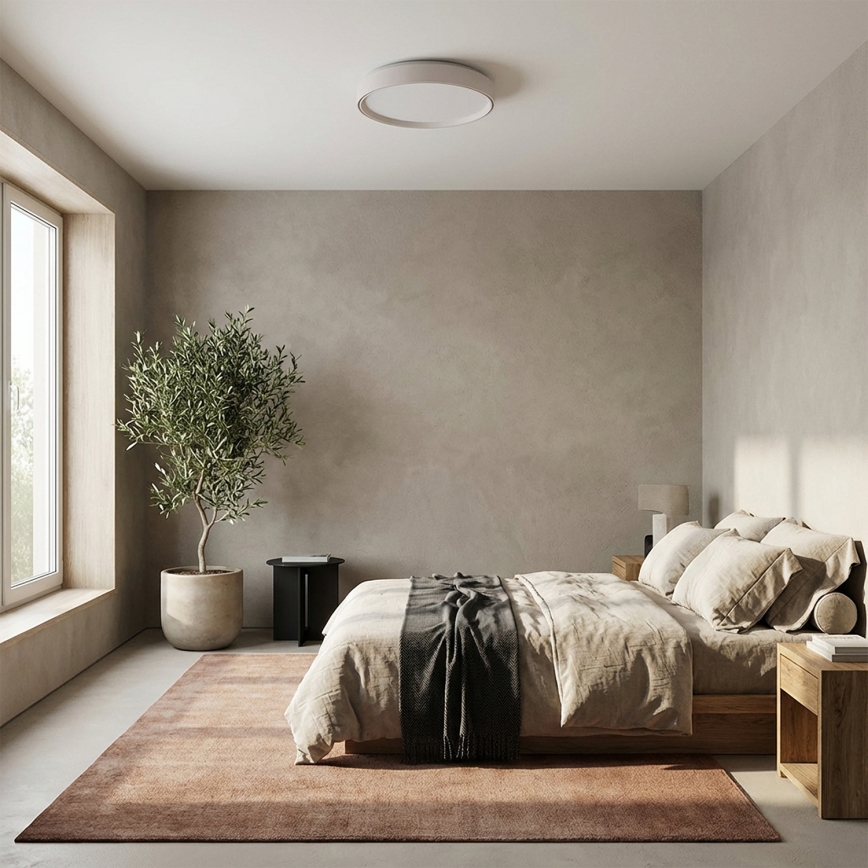 Brilagi - LED prigušivo stropno svjetlo NANCI LED/60W/230V 3000-6500K Ø 49 cm bijela + daljinski upravljač